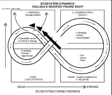 Gambar 1.Ecosystem Dynamics Pada Modifikasi 8 Unsur oleh C. S. Holling(Sumber; Newman dan Jennings, 2008