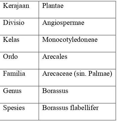 Tabel 2.2 Klasifikasi tanaman Borassus flabellifer (Davis and Johnson,1987)  