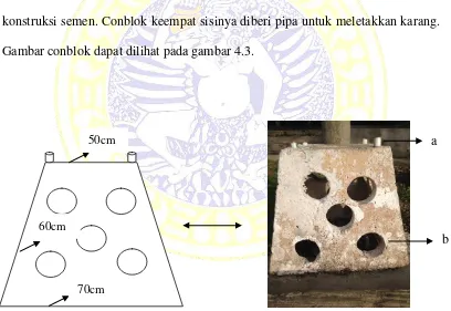 Gambar conblok dapat dilihat pada gambar 4.3. 