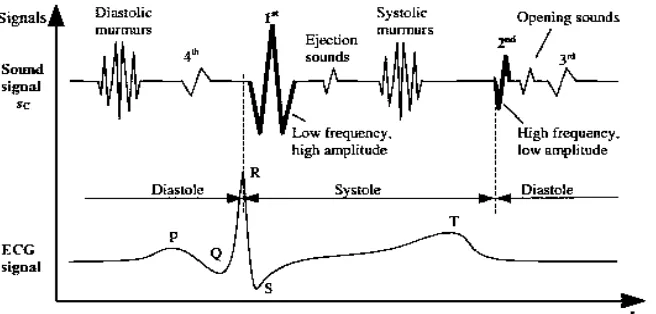Gambar 2.9 Hubungan sinyal suara jantung dengan siklus sinyal ECG  