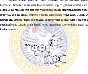 Gambar 2.2 Struktur Kimia epigallocatechin gallate (Mereles et al., 2011) 