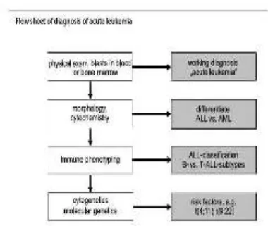 Gambar 2.2 Diagnosis leukemia akut (Gorzyca, 2008)