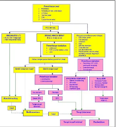 Gambar 2.9 Skema pengelolaan BPH di Indonesia untuk spesialis urologi (sumber: Wijanarko S et al, 2006)  