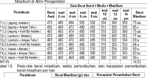 Tabel 13. Rata-rata berat misellium, waktu pertumbuhan, dan kecepatan penambahan 