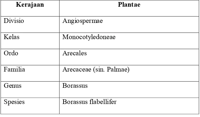 Tabel 2.2 Klasifikasi tanaman Borassus flabellifer (Widjanarko, 2008)  