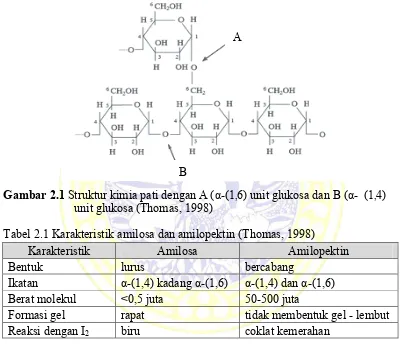 Gambar 2.1 Struktur kimia pati dengan A (α-(1,6) unit glukosa dan B (α-  (1,4) 