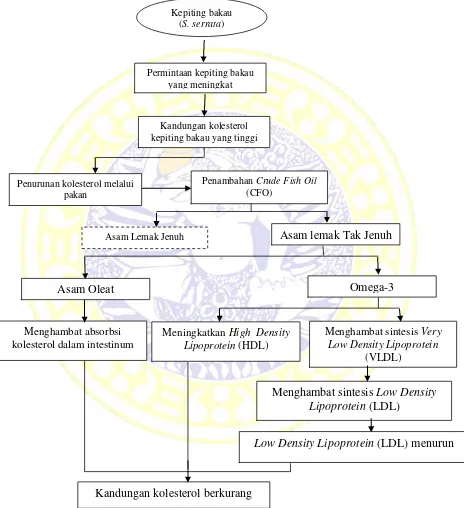 Gambar 5.  Diagram Kerangka Konseptual 