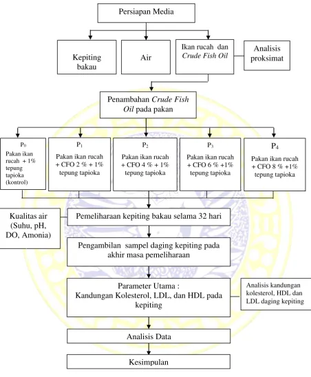 Gambar 6. Bagan Diagram Alir Penelitian