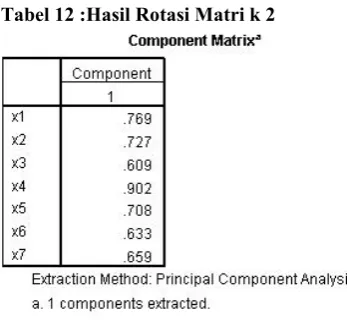 Tabel 11 : Hasil Rotasi Matrik 1