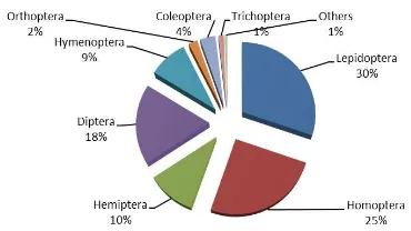 Figure 2. The numbers of individual insect found in the wheat plantation during generative stage