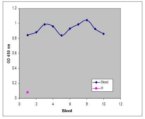 Figure 1 - Anti-PAG titer of isolation result from the rabbit  