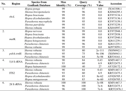Table 2 The result of BLAST Analysis of Shorea johorensis 