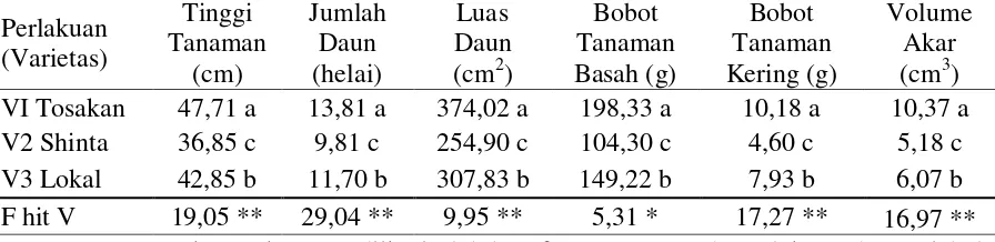 Tabel 1. Rata-rata Tinggi Tanaman (saat panen), jumlah daun (saat panen), Luas Daun (saat panen), Bobot Tanaman Basah, Bobot Tanaman Kering dan Volume Akar Terhadap Jenis Varietas 