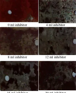 Gambar 5 Foto permukaan logam setelah perendaman selama 336 jam dalam medium korosif NaCl 3%  