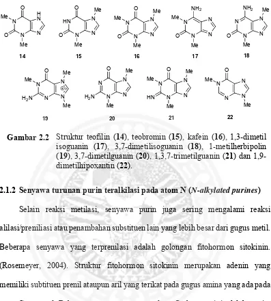 Gambar 2.2 Struktur teofilin (14), teobromin (15), kafein (16), 1,3-dimetil 