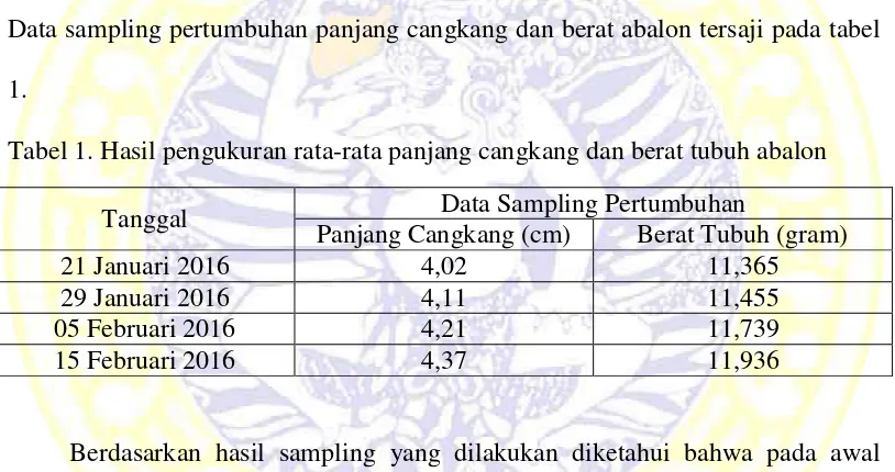 Tabel 1. Hasil pengukuran rata-rata panjang cangkang dan berat tubuh abalon