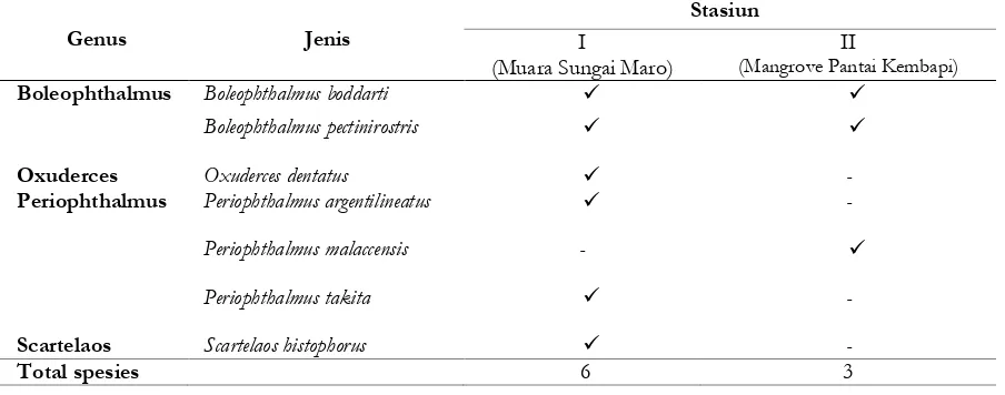 Tabel 1. Jenis-jenis ikan gelodok yang diperoleh pada tiap stasiun 