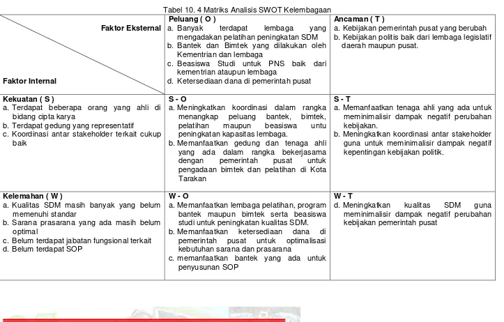 Tabel 10. 4 Matriks Analisis SWOT Kelembagaan 