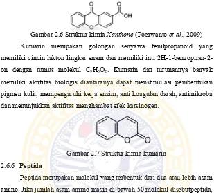 Gambar 2.6 Struktur kimia Xanthone (Poerwanto et al., 2009) 