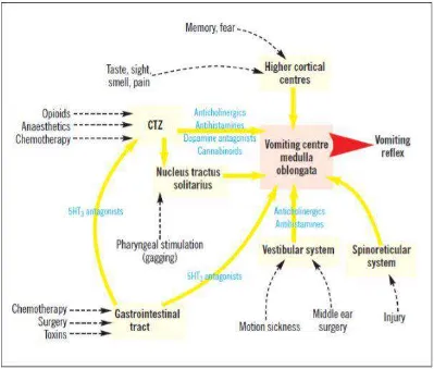 Gambar 2.1 Patofisiologi mual dan muntah (Sayana, 2012). 