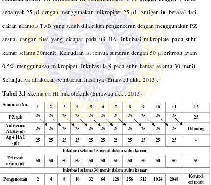 Tabel 3.1 Skema uji HI mikroteknik (Ernawati dkk., 2013).