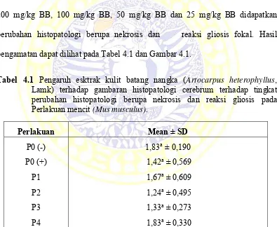 Tabel  4.1  Pengaruh  esktrak  kulit  batang  nangka  (Artocarpus  heterophyllus, 