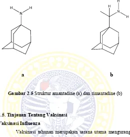 Gambar 2.5 Struktur amantadine (a) dan rimantadine (b) 