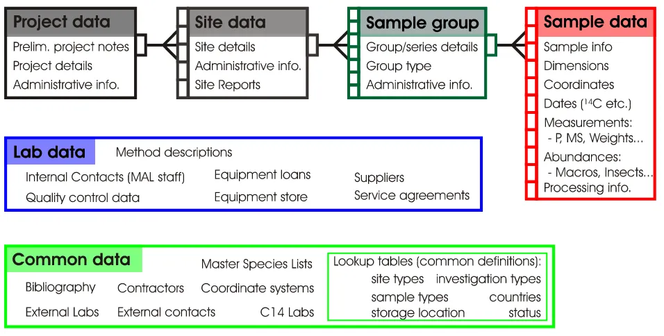 Figure 5.2. Schematic of SEAD data areas, showing the direction of one-to-many relationships as defined by the data hierarchy