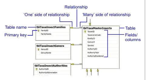 Figure 5.3. Explanation of database structure diagrams.  
