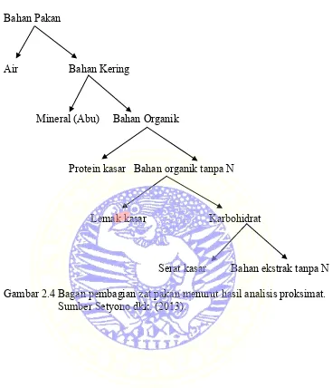 Gambar 2.4 Bagan pembagian zat pakan menurut hasil analisis proksimat. 