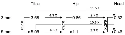 Fig. 5. Diagram representing the similar attenuation of the acceleration integral(g ∗ sec) from the tibia to the hip and head for the two WBV intensities 3 and 5 mm.