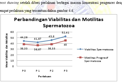 Gambar 4.4 Diagram Garis Perbandingan Persentase Viabilitas dan Motilitas                                                                                Spermatozoa Sapi Limousin pada Pemeriksaan Post Thawing
