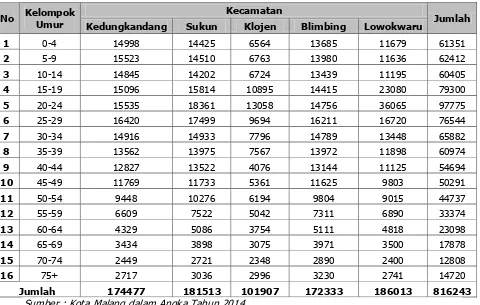 Tabel 6.10 Jumlah Penduduk Berdasarkan Kelompok Umur Kota Malang 