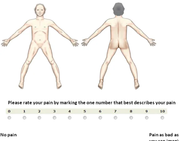 Fig. 1. CPBM with pain intensity scale for each pain location.