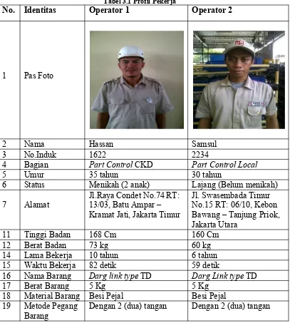 Tabel 3.1 Profil Pekerja