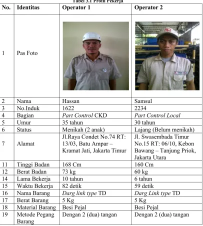 Tabel 3.1 Profil Pekerja