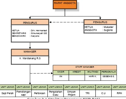 Gambar 2.1 Struktur Organisasi KUD DAU