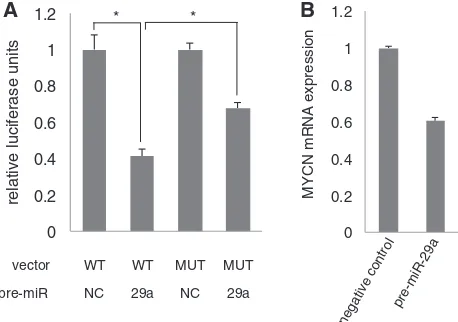 Figure 4. The MYCN transcription factor is a direct target of miR-29aPresults in a signiﬁcant rescue of the luciferase signal (*Student’sluciferase reporter vector containing the predicted miR-29a binding site.Co-transfection of vector and pre-miR-29a resu