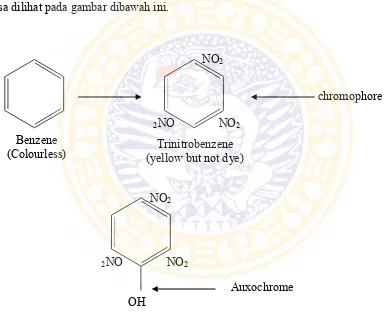 Gambar 2.7. Konversi pada benzene untuk menjadi suatu zat pewarna dengan penambahan chromophores dan auxochromes