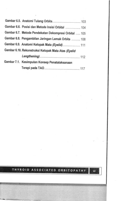 Gambar 6.5. Anatomi Tulang Orbita......... 
