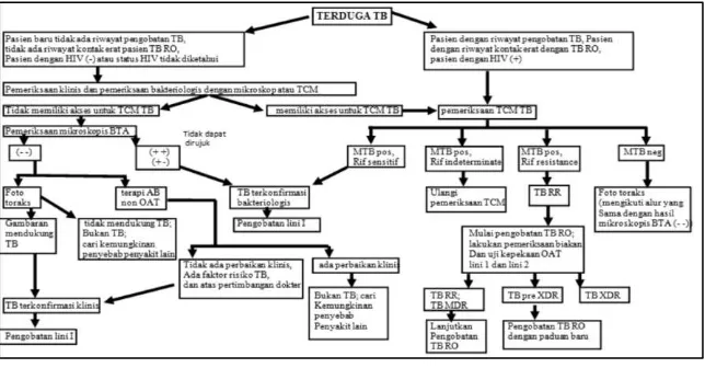 Gambar 3. Alur diagnosis TB dan TB RO di Indonesia 