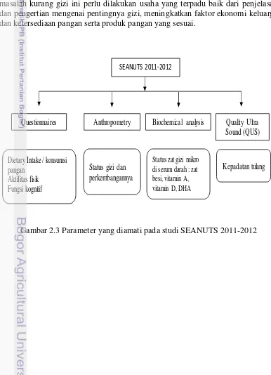 Gambar 2.3 Parameter yang diamati pada studi SEANUTS 2011-2012 