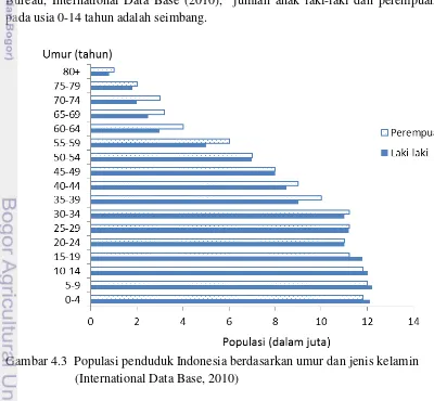 Gambar 4.3  Populasi penduduk Indonesia berdasarkan umur dan jenis kelamin 
