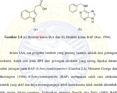 Gambar 2.4 (a) Struktur kimia IAA dan (b) Struktur kimia BAP (Rao, 1994).