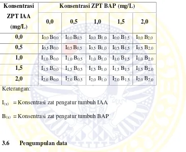 Tabel 3.5 Rancangan kombinasi konsentrasi IAA dan BAP.