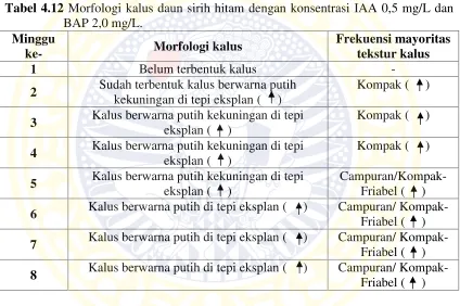 Tabel 4.12 Morfologi kalus daun sirih hitam dengan konsentrasi IAA 0,5 mg/L dan