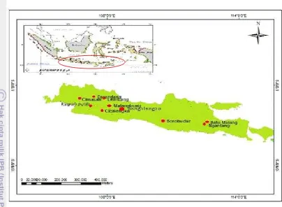 Gambar 1. Sebaran contoh tanah pertanian lahan kering di Pulau Jawa 