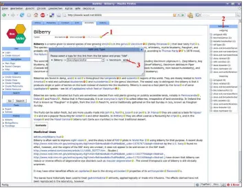 Figure 2. Semantic annotation in IkeWiki
