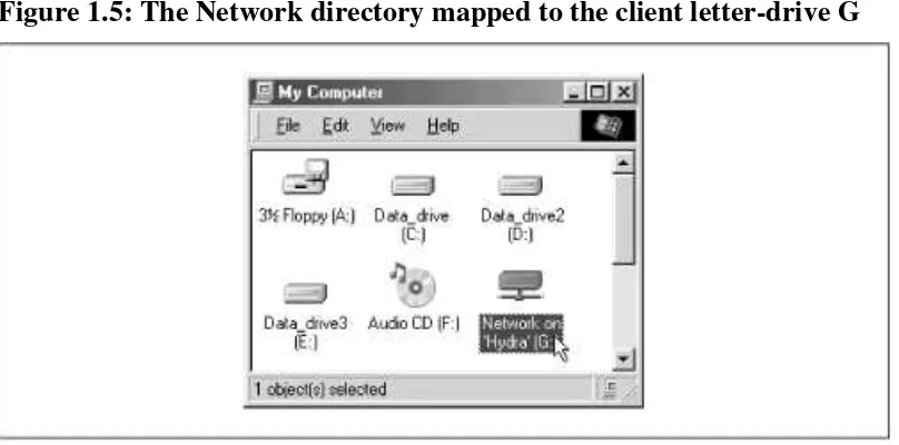 Figure 1.5: The Network directory mapped to the client letter-drive G