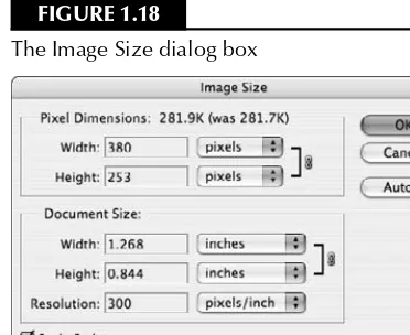 Figure 1.18. If an image does not have enough resolution for its purpose, it may look blurry or 